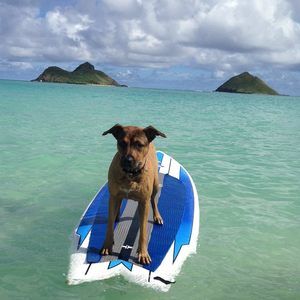 Meet your Posher, Angie